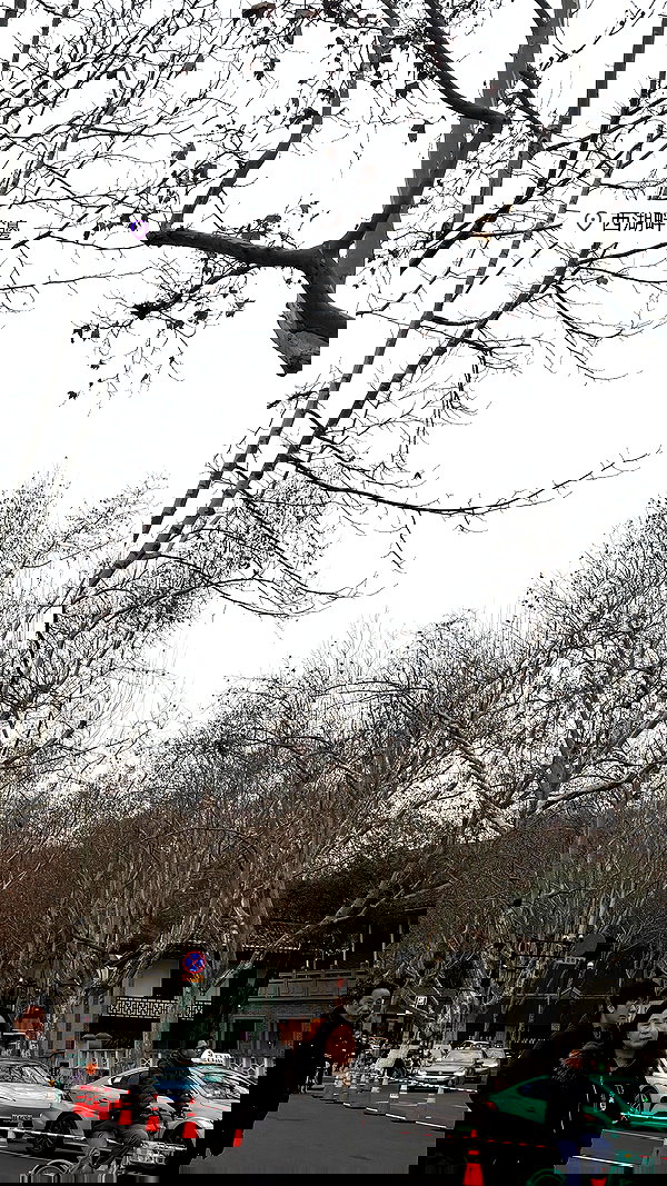 ratusfy_ ratusfy_ archive image