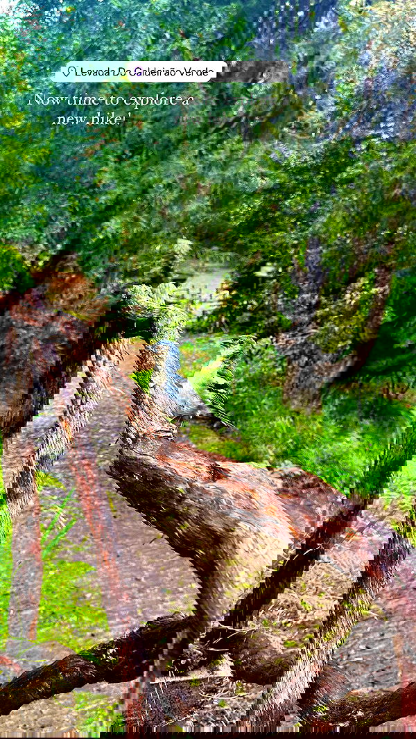 taylor.creeden taylor.creeden archive image