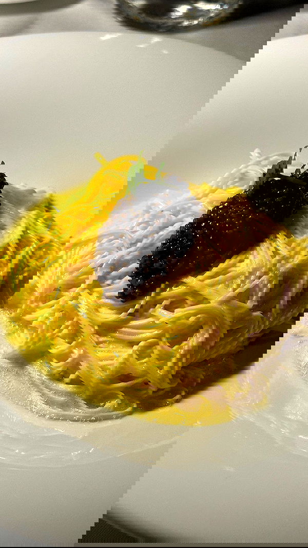 taylor.creeden taylor.creeden archive image