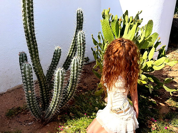 forestowwwl instagram image archive image