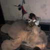 hannahxgda Altpins Profile Picture