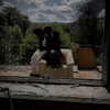 zqwinp Altpins Profile Picture