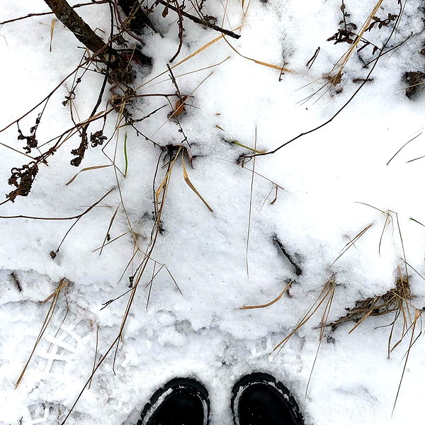 nasstellaa instagram image archive image