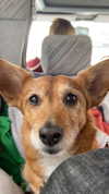 bat.wiings Altpins Profile Picture