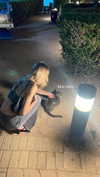 katrina.zaiceva Altpins Profile Picture