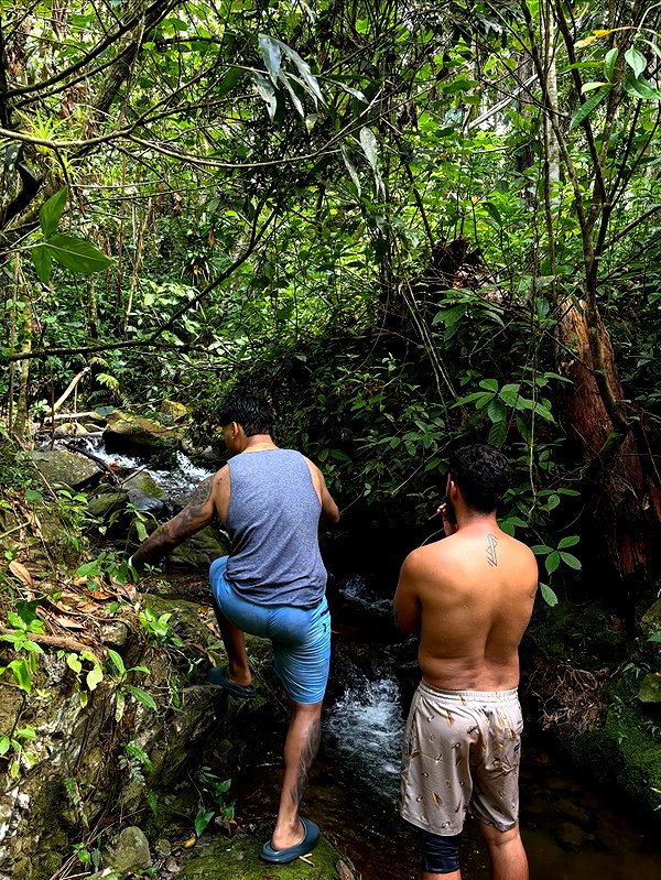 mosssaico instagram image archive image