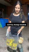 eva.6stuma.com6 Altpins Profile Picture