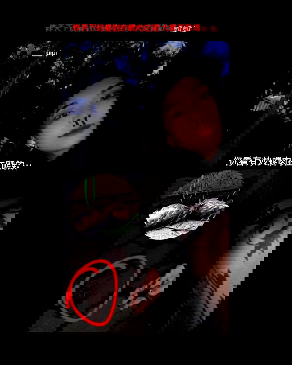 ting851204 ting851204 archive image