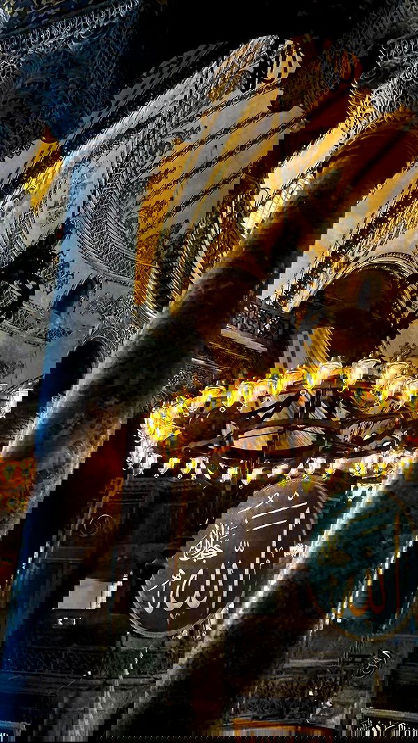 taylor.creeden taylor.creeden archive image