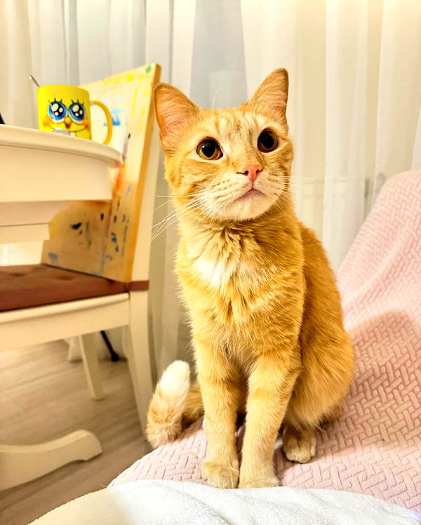 owlydiaa instagram image archive image