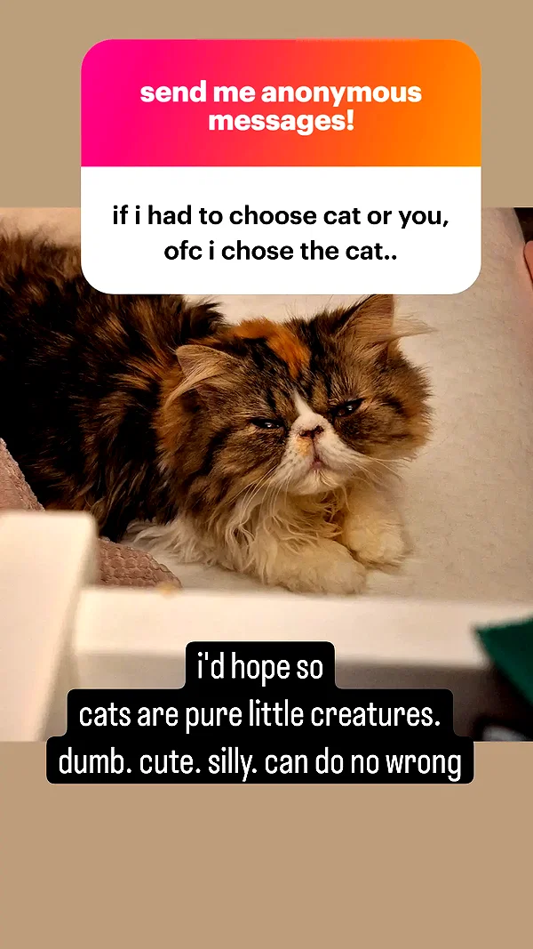mirekyarahire instagram image archive image