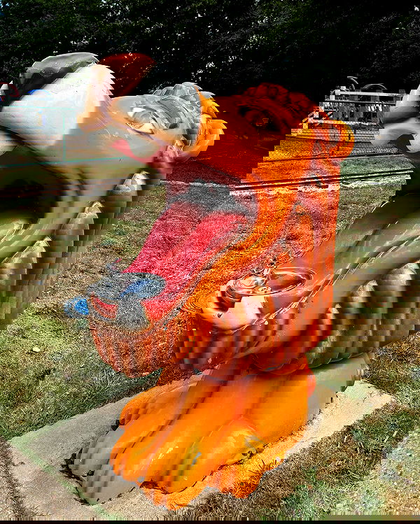 jtilb2 image ~ Altpins