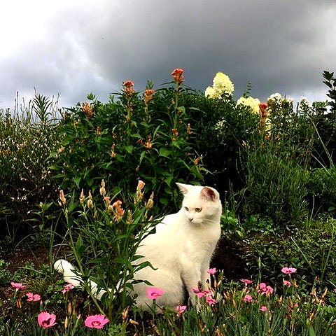 Archived image from @heroineseen on Instagram