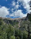 solzarubin_ Altpins Profile Picture