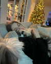 ashleybenson Altpins Profile Picture