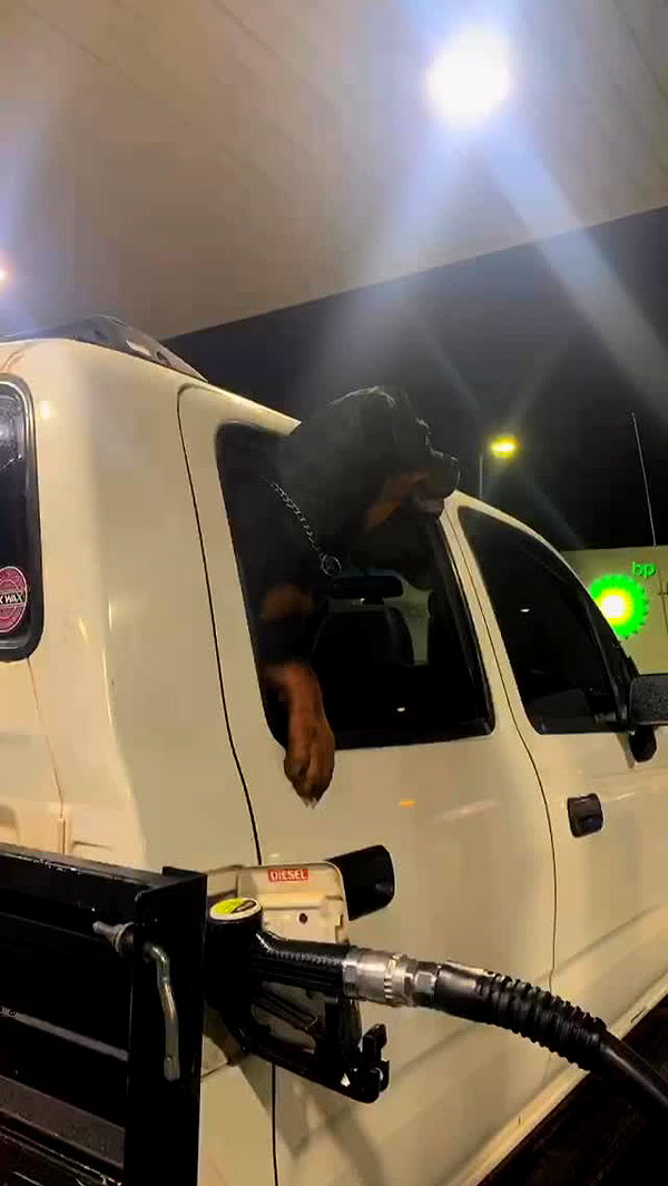 Archived image from @tiarnibutter on Instagram