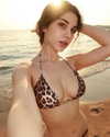 owlydiaa Altpins Profile Picture