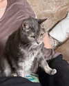 jahia_brown Altpins Profile Picture