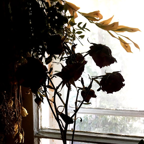 leanxhrt instagram image archive image