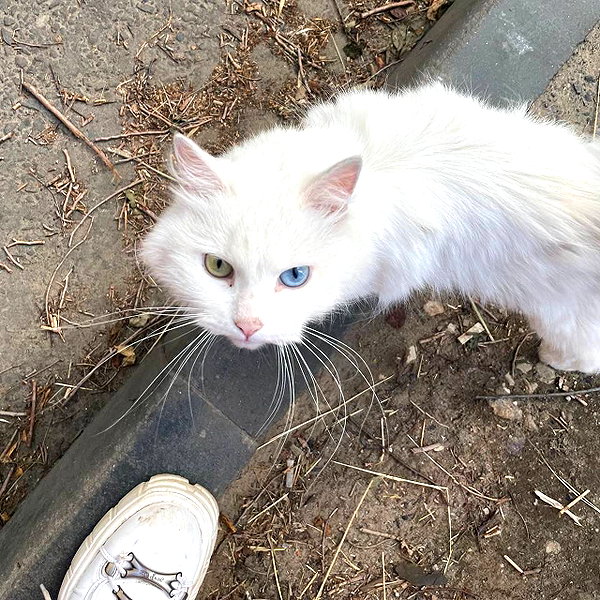 llofreaki instagram image archive image