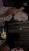 shir.davida6 Altpins Profile Picture