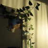 axaaxaxaaxa Altpins Profile Picture