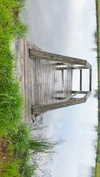 elizabethcampbelljones Altpins Profile Picture