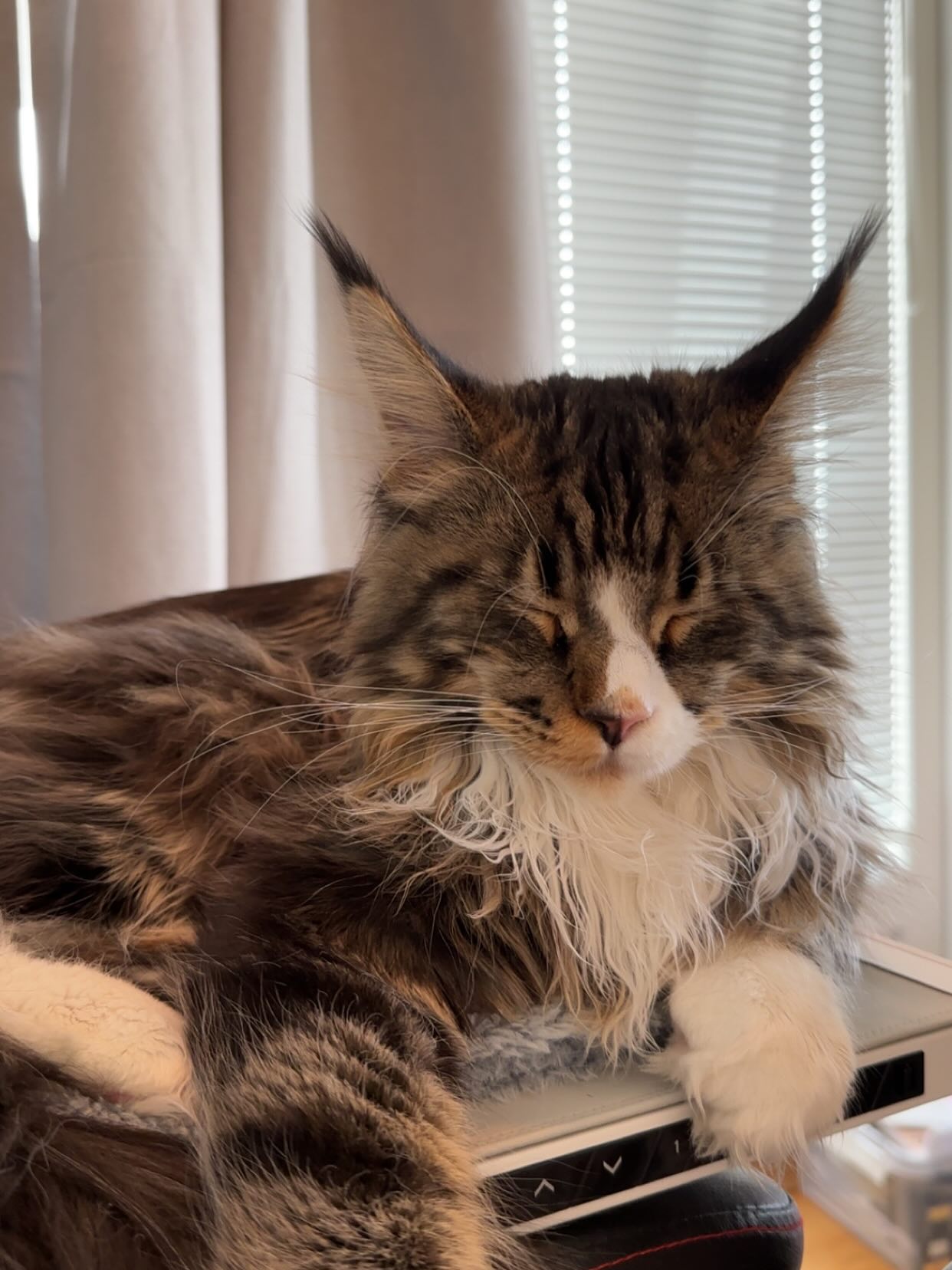 silkton instagram image archive image