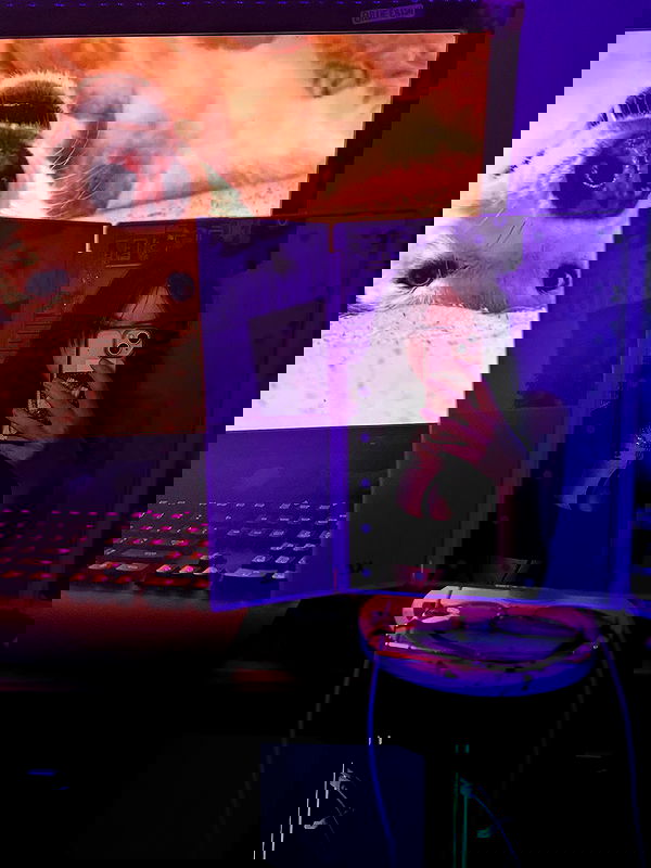 _animechika_ image ~ Altpins