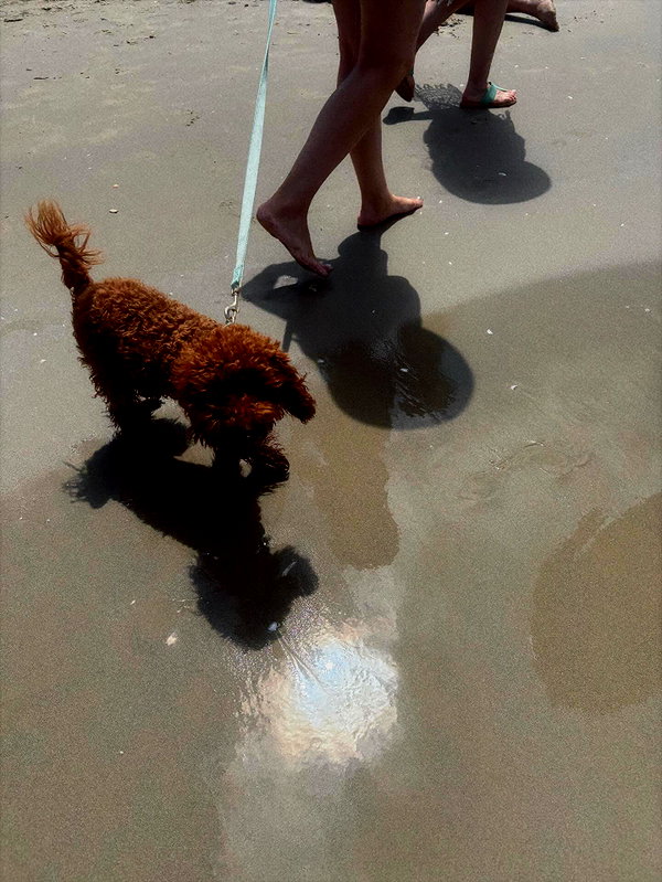rei.sigalov instagram image archive image