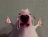 kteaworld Altpins Profile Picture