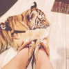 gigihadid Altpins Profile Picture