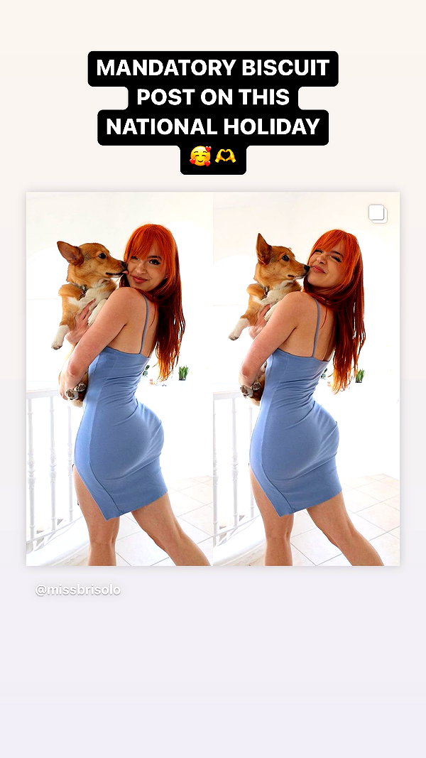 missbrisolo missbrisolo archive image