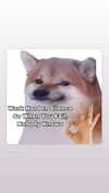 kteaworld Altpins Profile Picture