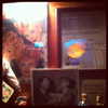 ashleybenson Altpins Profile Picture