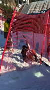 tirtza_cohen Altpins Profile Picture