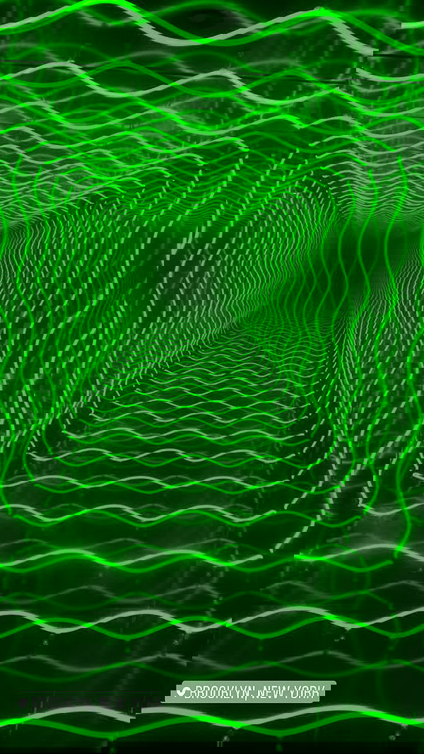 taylor.creeden taylor.creeden archive image