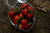 noy.razz Altpins Profile Picture