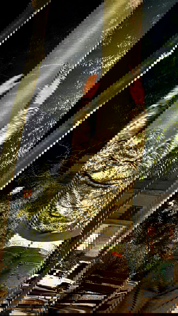 romy_ayalla_lavi romy_ayalla_lavi archive image