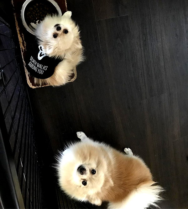 sssniperwolf instagram image archive image
