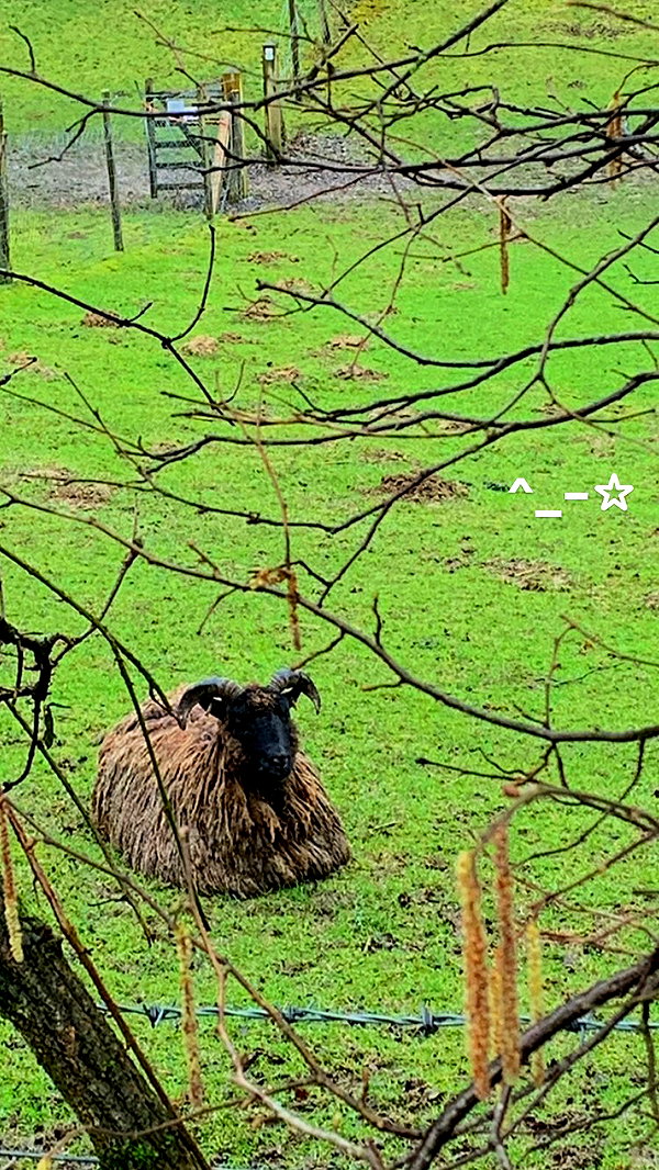 mollieruck instagram image archive image