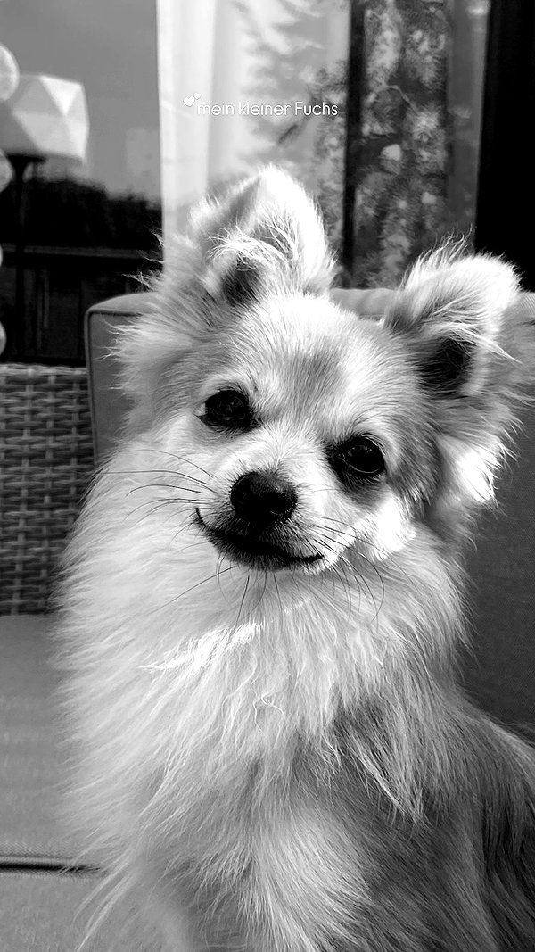 nina.kxs archive image