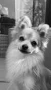 nina.kxs Altpins Profile Picture