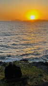 annabottoo Altpins Profile Picture