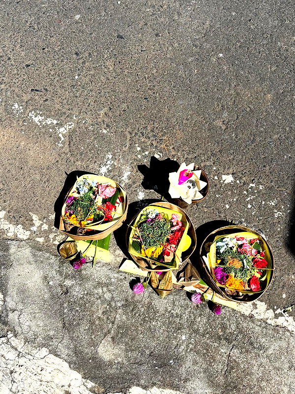 niisadurmaz instagram image archive image