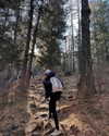 indra0102_ Altpins Profile Picture