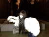 noragamixdxd Altpins Profile Picture