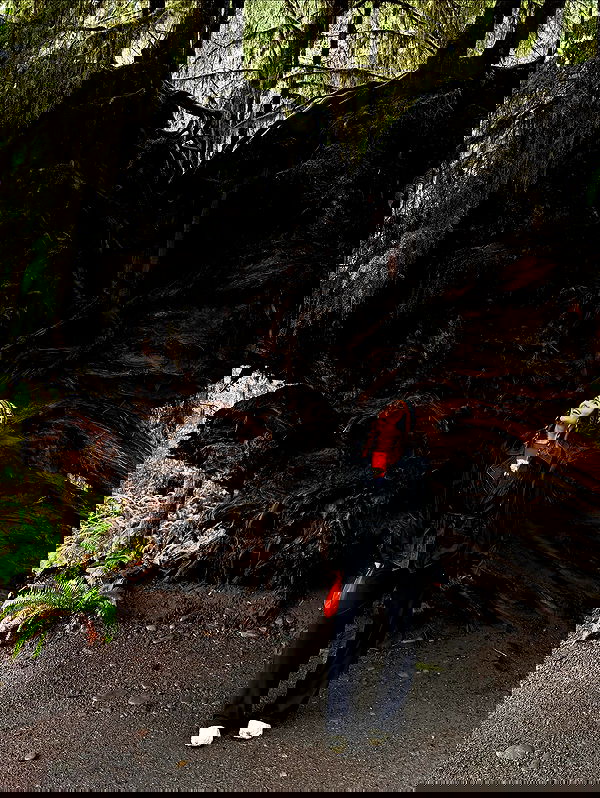 taylor.creeden taylor.creeden archive image