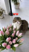 sonia_litvanchuk Altpins Profile Picture