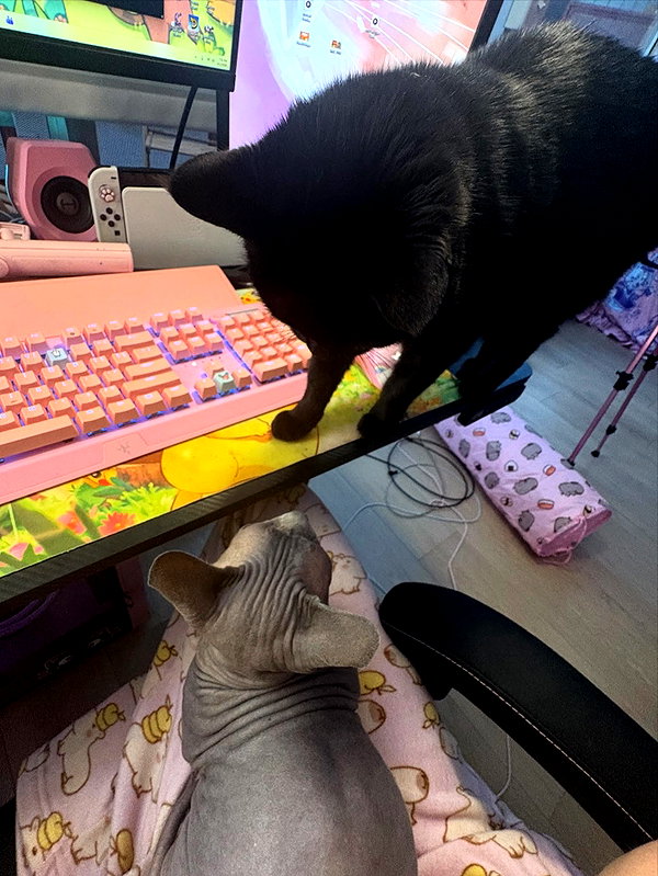 Archived image from @iluvmeww on Instagram